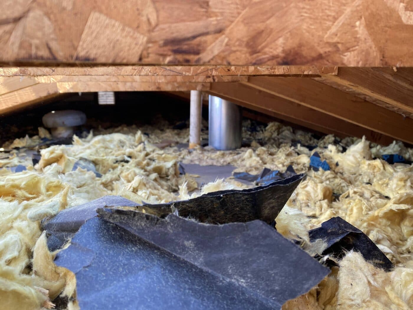 Torn, soiled attic insulation left behind by wildlife