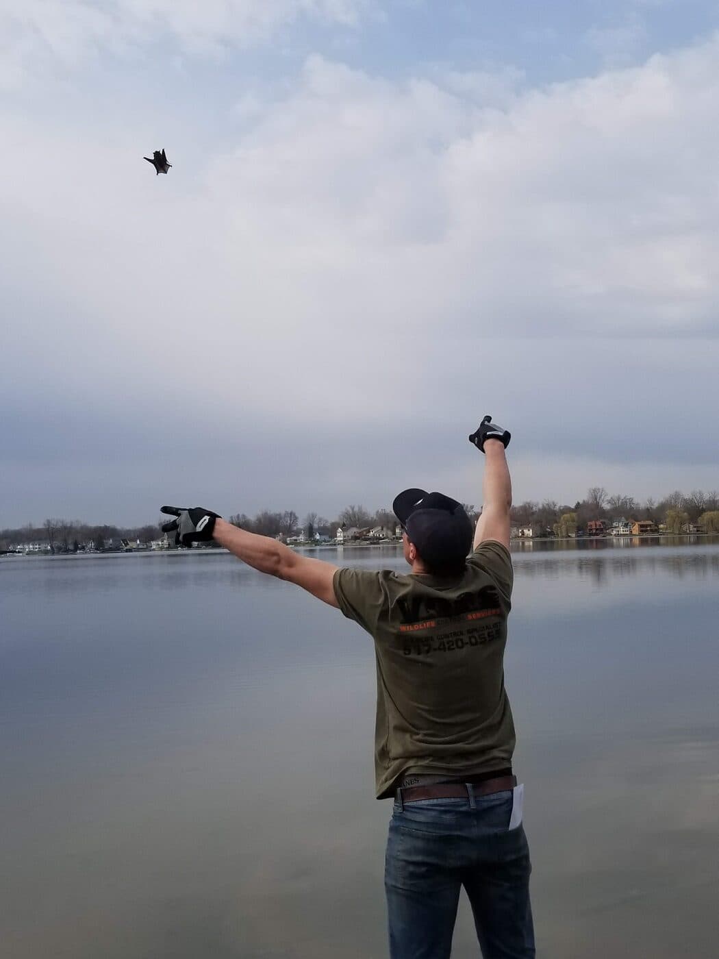 A technician releasing a bat over a lake